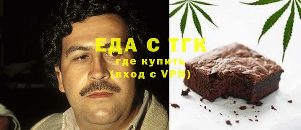 индика Елабуга