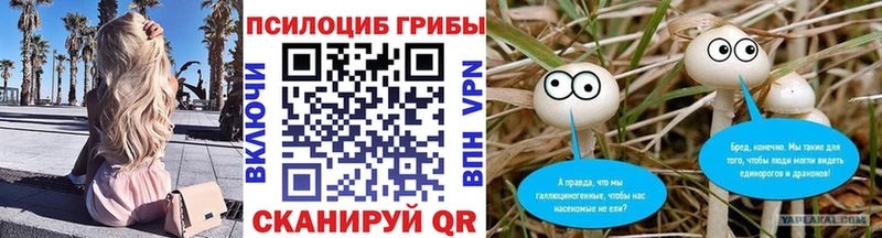 Псилоцибиновые грибы Psilocybine cubensis  хочу наркоту  Барыш 